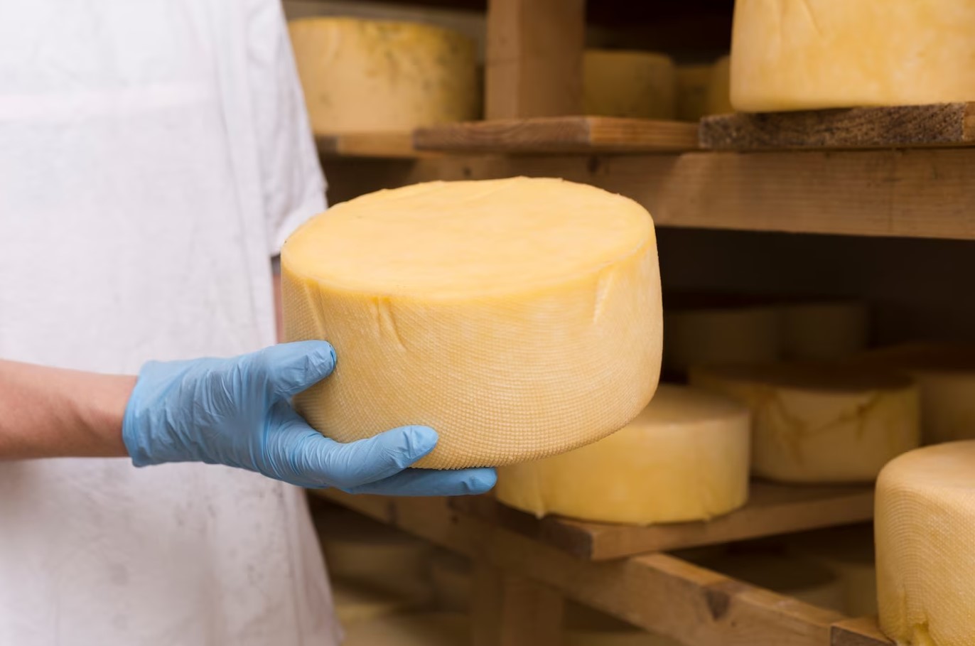 Queijo Canastra (kg)