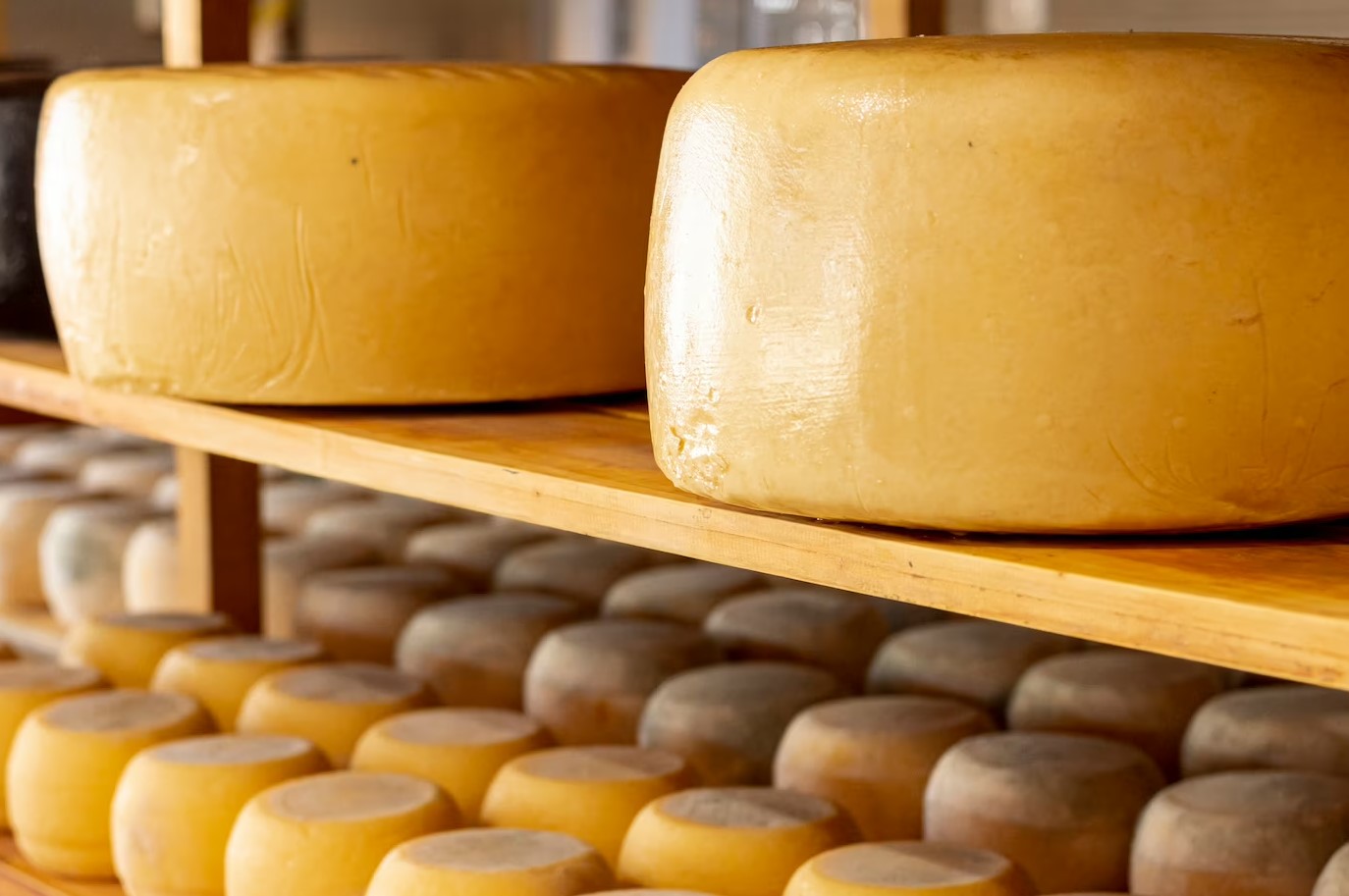 Queijo Serrano (kg)